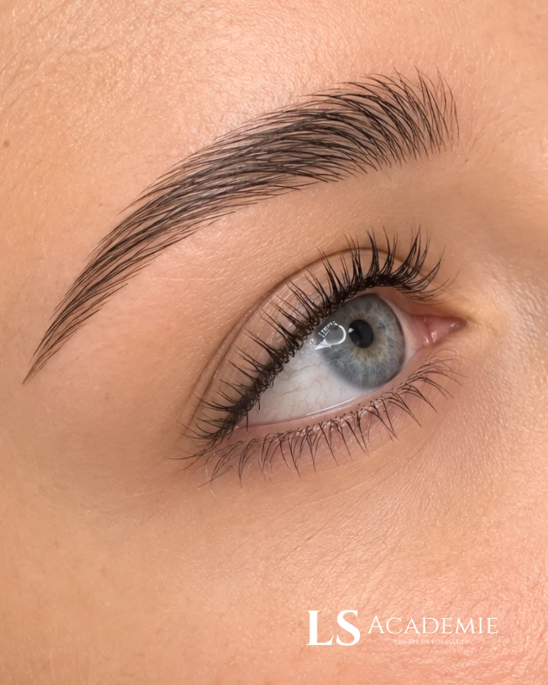 Brow lift et lash lift à Nice — rehaussement sourcils et cils, formation LS Académie