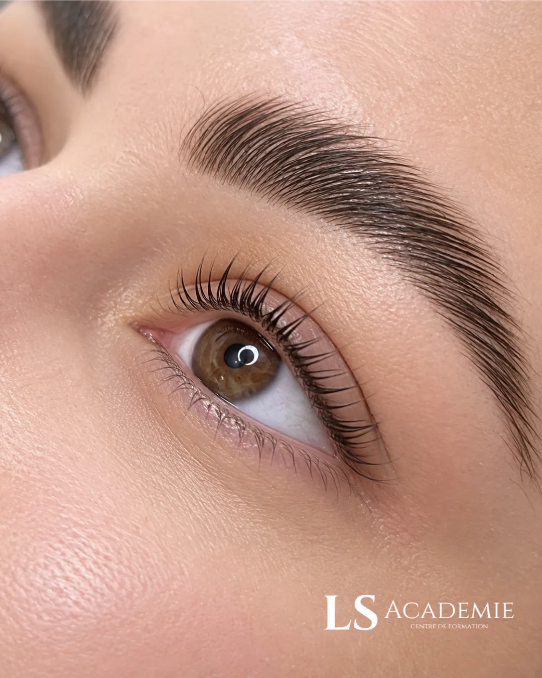 Rehaussement de cils naturel et sourcils brossés — formation brow lift lash lift LS Académie Nice