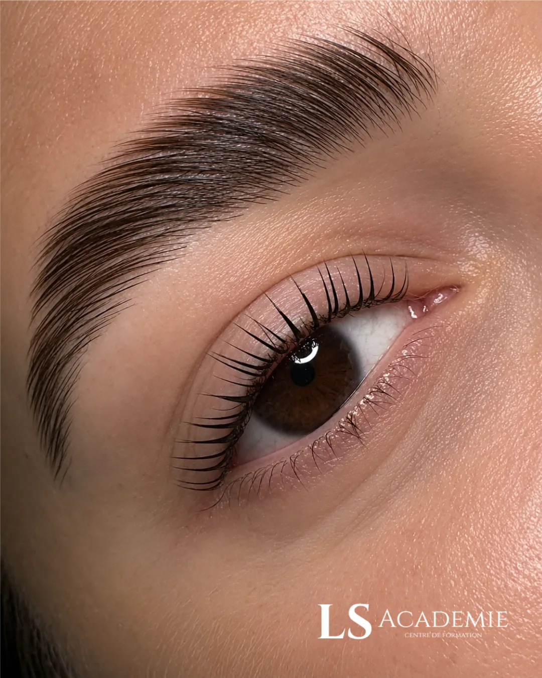 Lash lift longueur maximale et brow lift précision — formation esthétique certifiante Nice