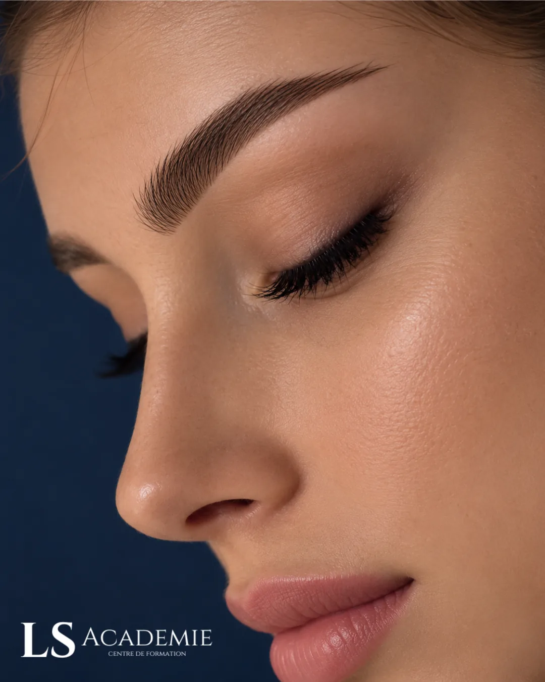 Sourcils premium hairstroke — formation certifiante maquillage permanent RS7416 Nice