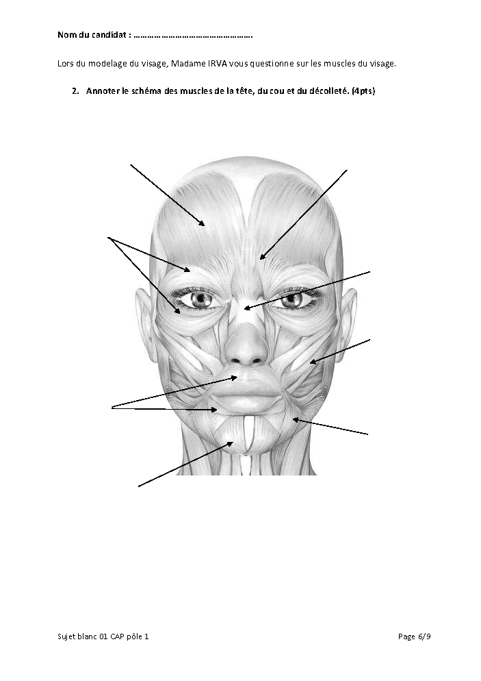 Centre de formation LS académie, Nice, Bordeaux, Samoreau Financement CPF Prothésiste Ongulaire Extension de cils Make up Browlift, Lashbotox, Epilation au fil Eye designer