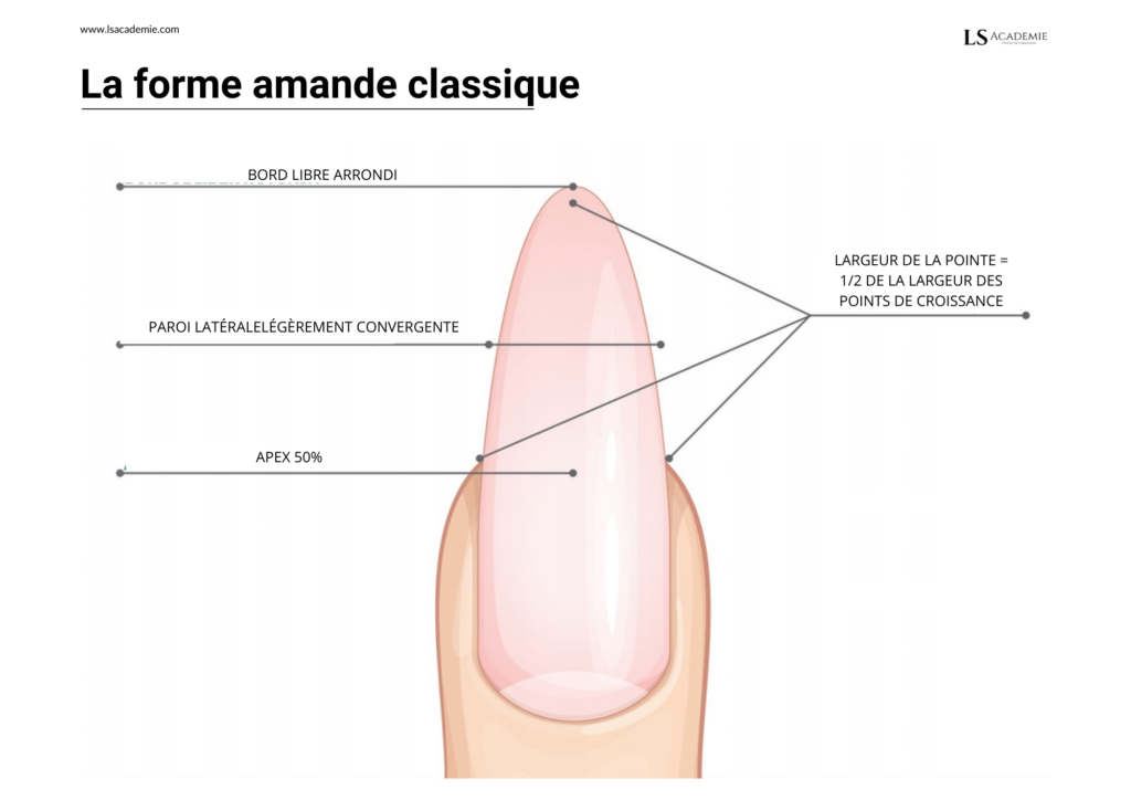 20 - LS Académie